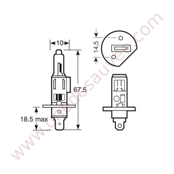 AMPOULE IODE 12 VOLTS TYPE H1 - 55 W