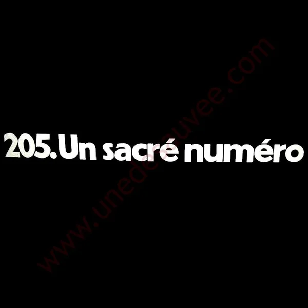 AUTOCOLLANT STICKER UN SACRÉ NUMÉRO PEUGEOT 309 205 GTI CTI RALLYE