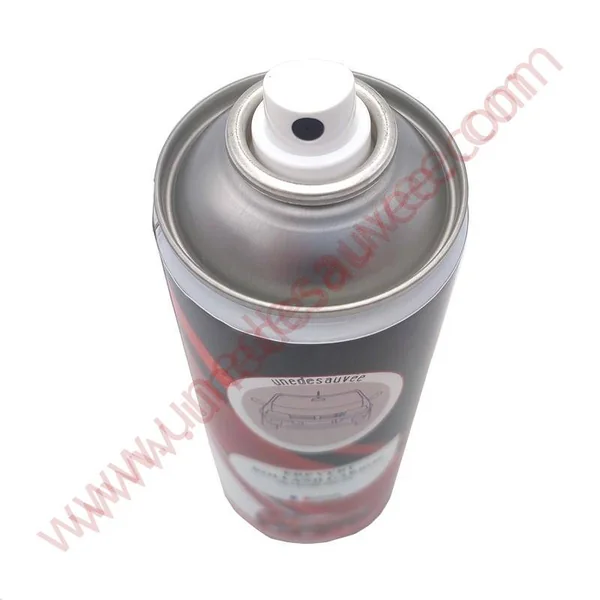 BOMBE EKG ROUGE ECARLATE PEINTURE AÉROSOL PEUGEOT 309 205 GTI CTI GTI 16 400 ML