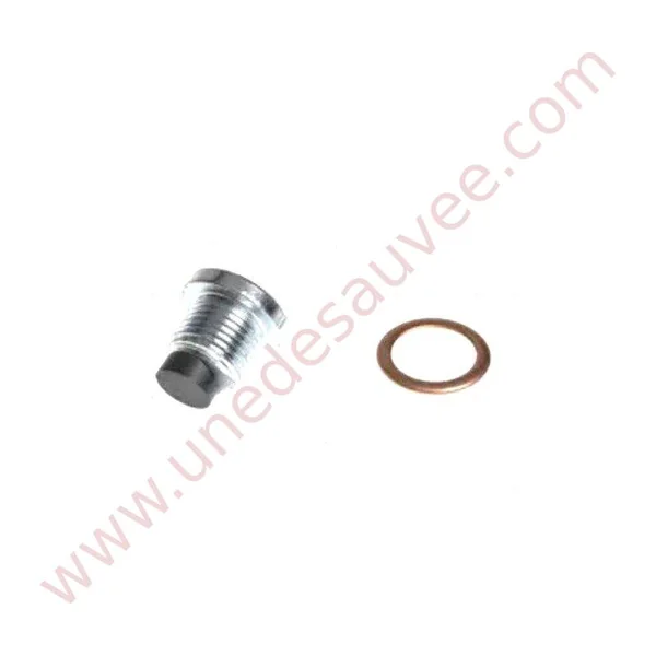 BOUCHON VIDANGE CARTER HUILE MOTEUR PEUGEOT CITROEN C15 BX 405 309 306 205 106