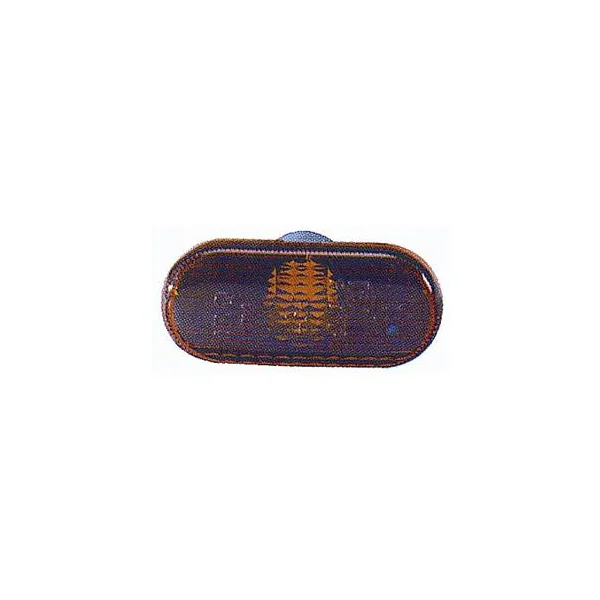 Feu clignotant répétiteur droit ou gauche pour RENAULT MASCOTT phase 2, 2004-2010, orange, aile avant, Neuf