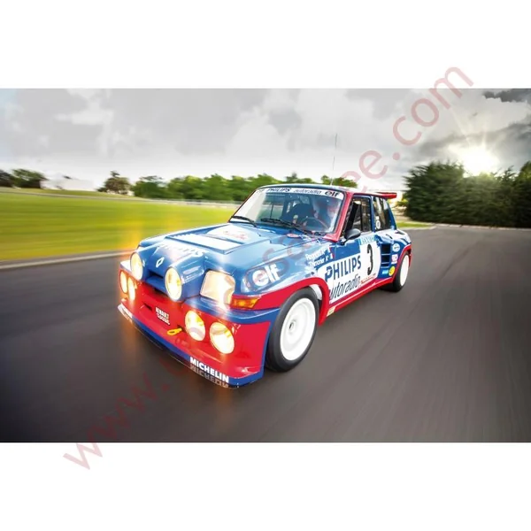LIVRE LA RENAULT 5 SPORTIVE