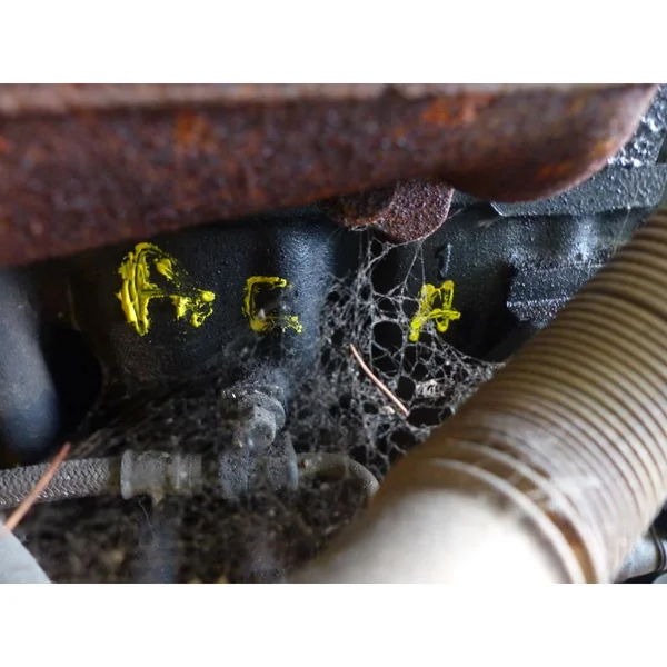 Moteur FORD ESCORT 6