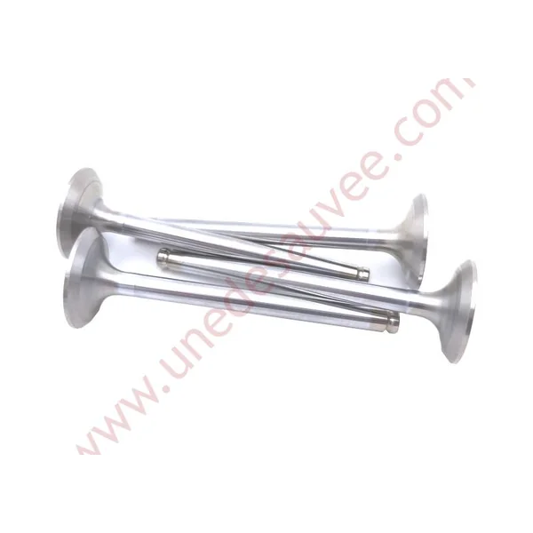 SOUPAPES ADMISSION 41,6 MOTEUR PEUGEOT 309 205 GTI CTI KIT DE 4