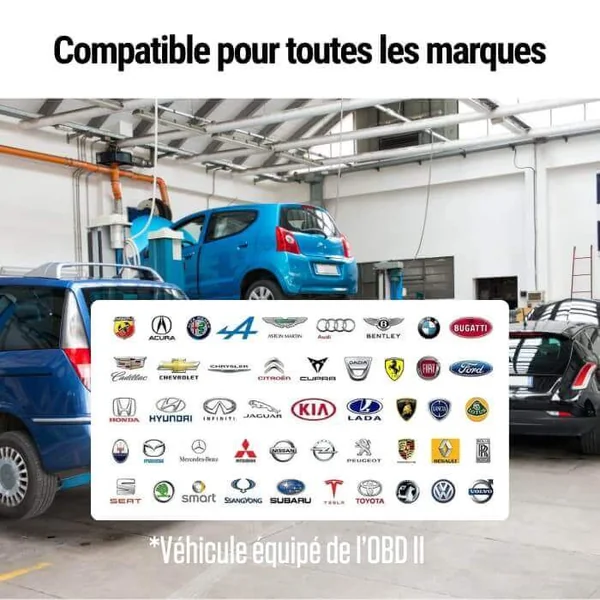 Valise de diagnostic auto V317 OBD2